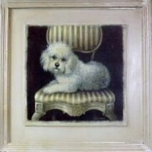 Obraz z pudlem zwierzęta pies 41x41 cm