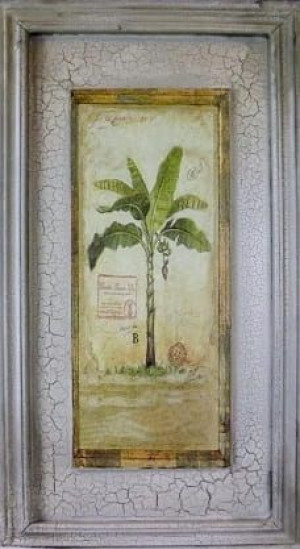 Obraz natura palma 26x46 cm