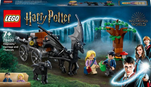 LEGO Harry Potter Testrale i kareta Hogwartu 76400
