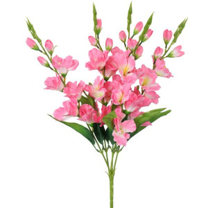 Bukiet 5 różowych gladioli
