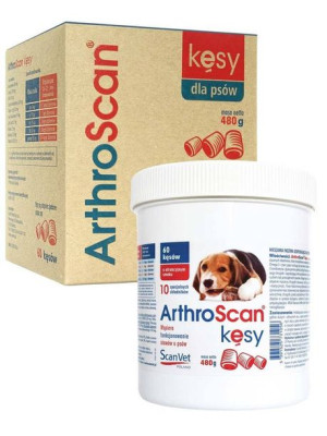ArthroScan kęsy 480g/60szt.