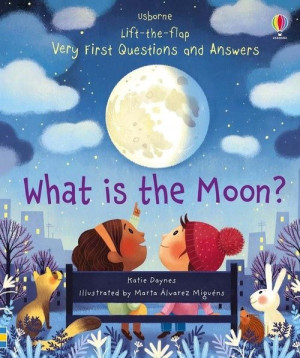 Lift-the-flap Very First Questions and Answers Wha