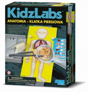Anatomia Klatka piersiowa