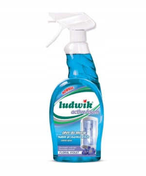 Ludwik, Płyn do mycia kabin prysznicowych, 750 ml