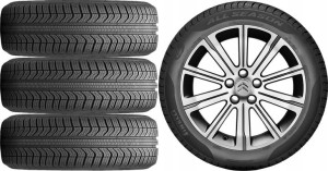 KOŁA CAŁOROCZNE Citroen C4 GP 2 Pirelli 205/55R17