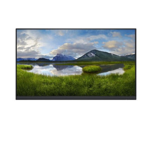 Monitor Dell P2422HWOS IPS 23,8"