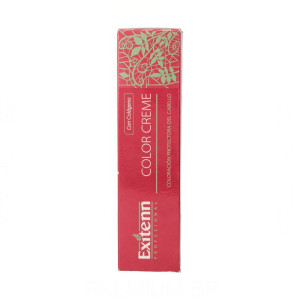 Trwała Koloryzacja Exitenn Color Creme Kolor Zielony (60 ml)