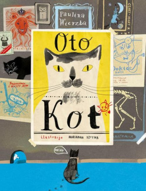 (e-book) Oto kot