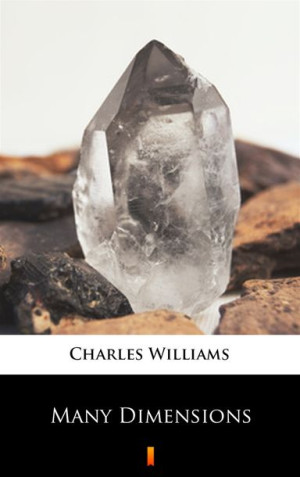 (e-book) Many Dimensions