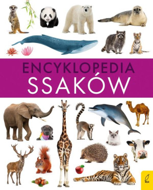 Encyklopedia Ssaków Zalewski Paweł Książka Wilga