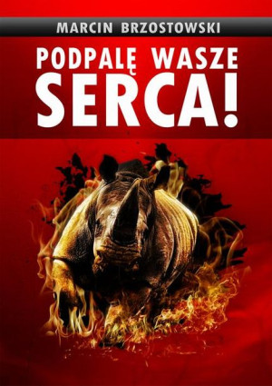 (e-book) Podpalę wasze serca!
