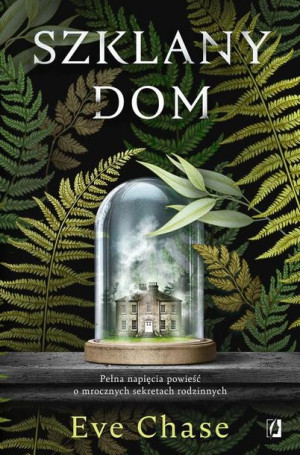(e-book) Szklany dom