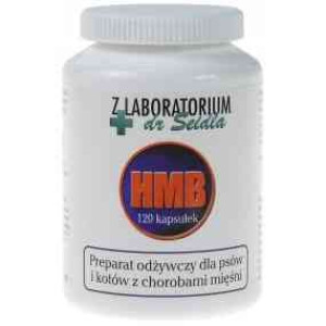 Dr Seidel HMB 60 Kapsułek + 20% gratis