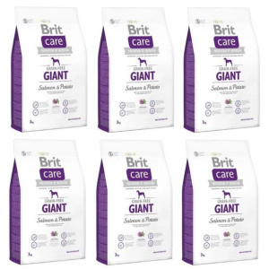 Pakiet Brit Care Grain Free  Salmon & Potato Łosoś Ziemniaki Bezzbożowa Gia