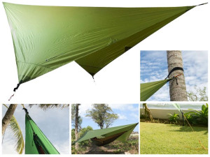 Tarp TTTM
