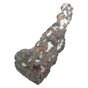 Stary pień donica II