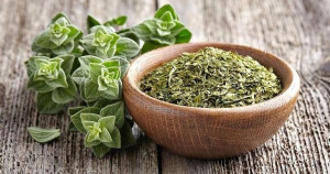 Oregano lebiodka pospolita 0,1g nasiona/