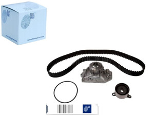 Blue Print Zestaw Rozrządu Z Pompą Honda Cr-v I 2.0 10.95-02.
