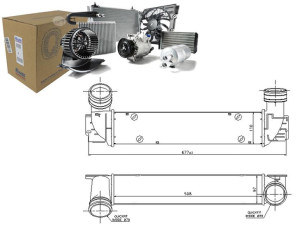 Nissens Intercooler Bmw 3 (e90) 3 (e91) 3 (e92) 3 (e93) 3.