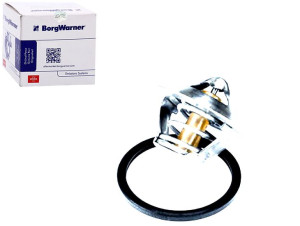 Termostat [wahler]