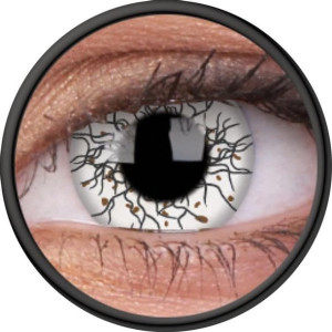 Crazy Lens - Vikingdom, 2 szt.