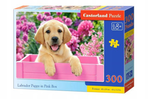 PUZZLE 300el. Słodki szczeniak CASTOR B-030071