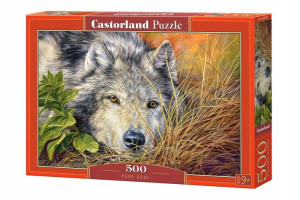 Puzzle 500el. Wilk Castorland B-53285