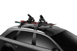 Thule SnowPack M 732400 Silver