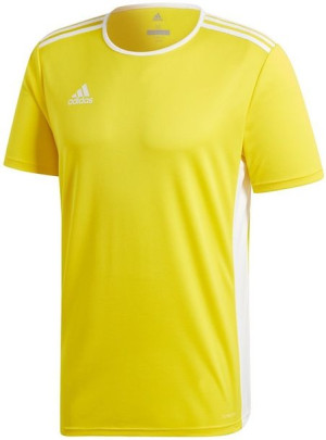 Koszulka dla dzieci adidas Entrada 18 Jersey Junior żółta CD8390