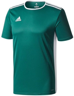Koszulka dla dzieci adidas Entrada 18 Jersey Junior zielona CD8358