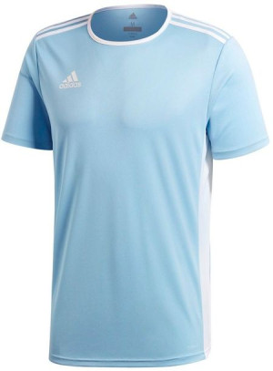 Koszulka dla dzieci adidas Entrada 18 Jersey Junior błękitna CD8414/CF1045