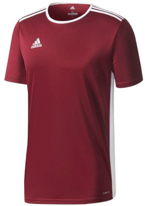 Koszulka dla dzieci adidas Entrada 18 Jersey Junior bordowa CD8430