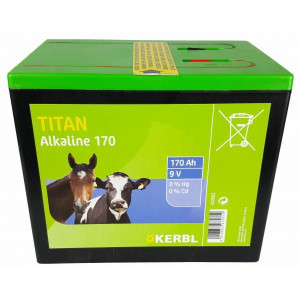 Bateria Alkaliczna 170ah 9v Do Elektryzatorów