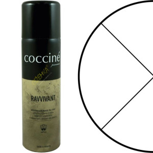 Coccine Ravvivant Farba Pasta Do Zamszu Nubuku 250 Ml Bezbarwny 01