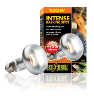 Żarówka grzewcza EXO-TERRA INTENSE BASKING SPOT 100 W 80 mm