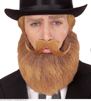 Męska Broda Z Wąsami Brody Wąsy Blond