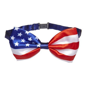 Muszka Flaga Stany Zjednoczone Usa Ameryka Mucha