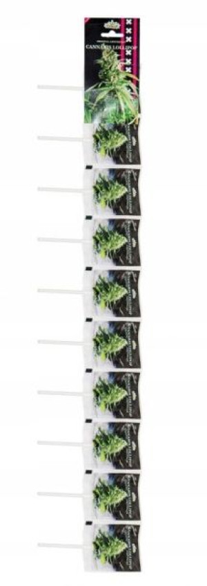 Lizaki konopne White widow 10 sztuk