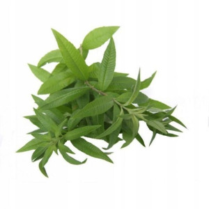 Werbena BIO- 15g susz do waporyzacji