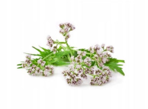 Waleriana BIO 15g susz do waporyzacji