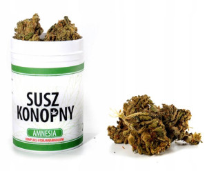 Susz konopny 5% CBD 2g Amnesia - Kwiaty CBD