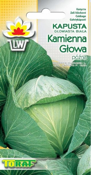 Kapusta Kamienna Głowa nasiona