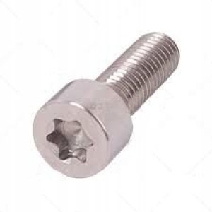 Śruba TORX do pomp Bosch CP3S3 M6x30