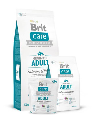 Brit Care GF Adult Salmon Potato 12kg