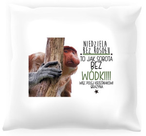 Poduszka z nosaczem -  Niedziela bez rosołu