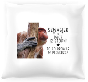 Poduszka z nosaczem -  Browar w plenerze
