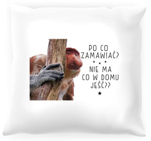 Poduszka z nosaczem -  Po co zamawiać jedzenie?