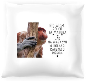 Poduszka z nosaczem -  Po co ta matura