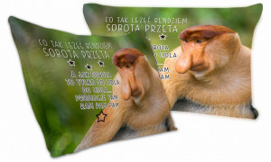 Poduszka z Nosaczem Co tak leżeć będziem sobota przeta