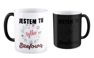 Kubek dla Szefowej Jestem tu tylko szefowej